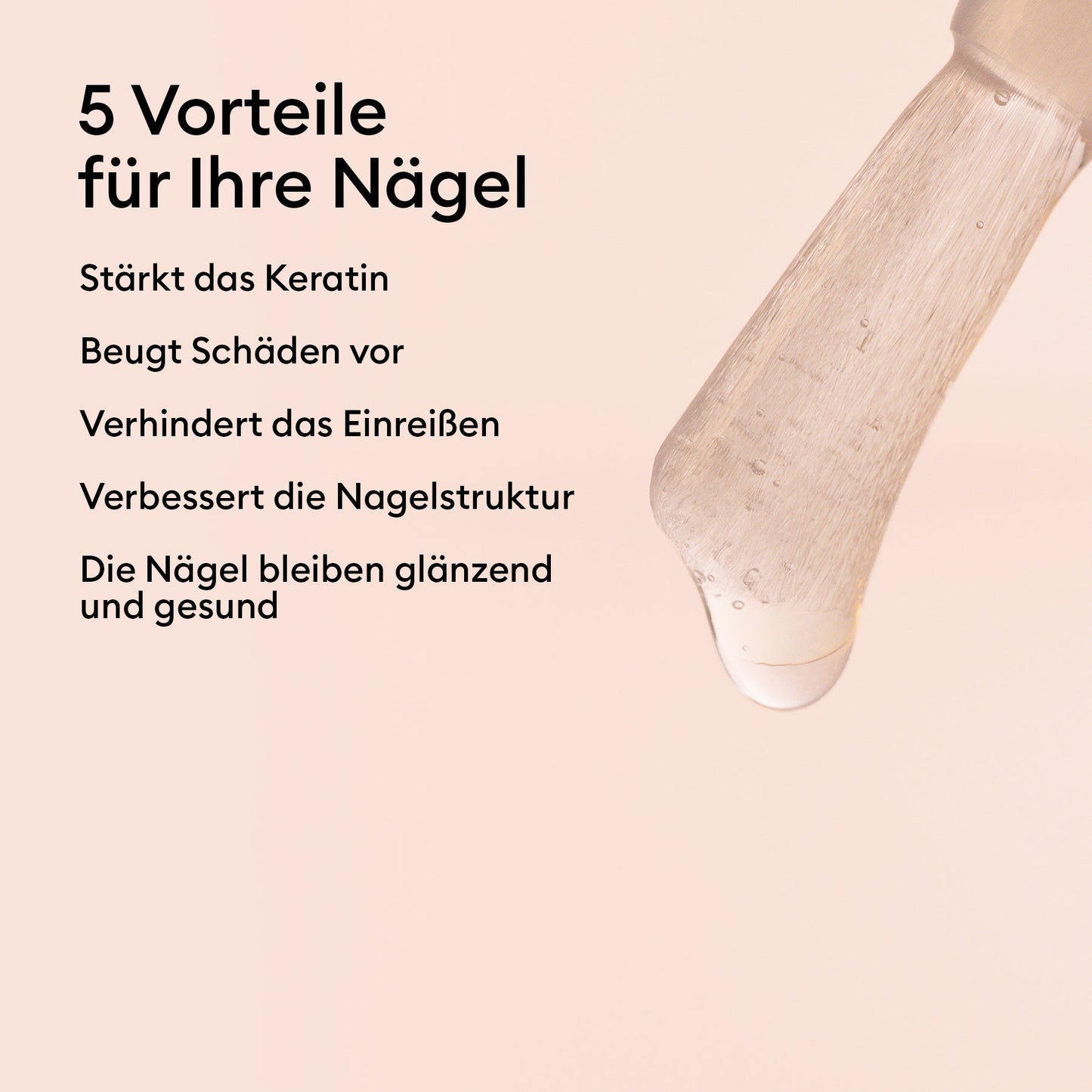 Basis 5.5 Erfolg