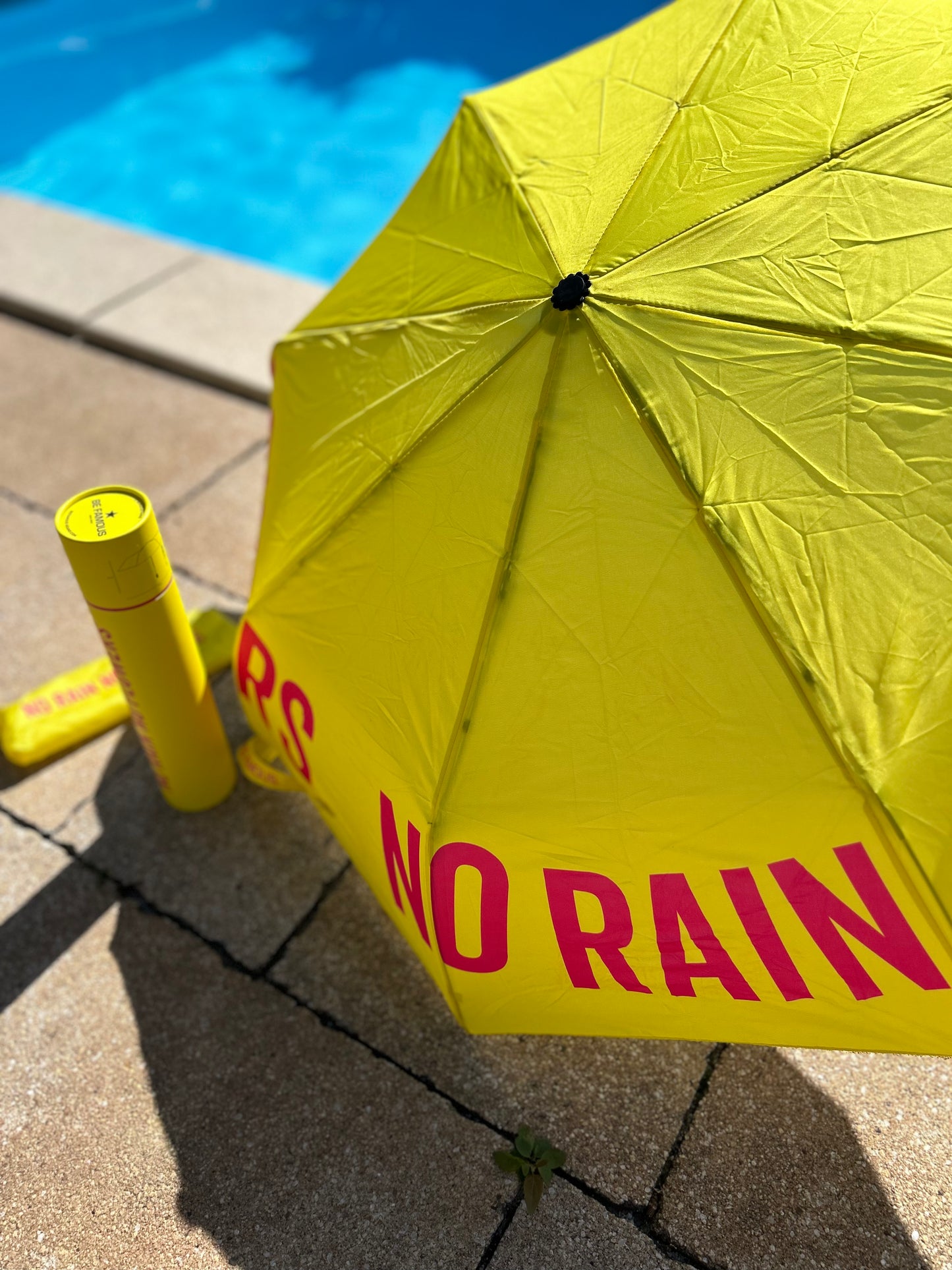 Be Famous Regenschirm NO RAIN NO FLOWERS