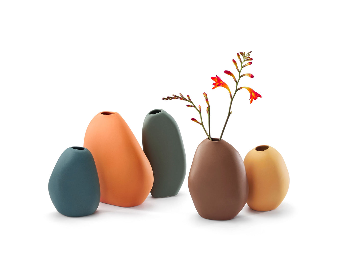 BUD Vase Aprico