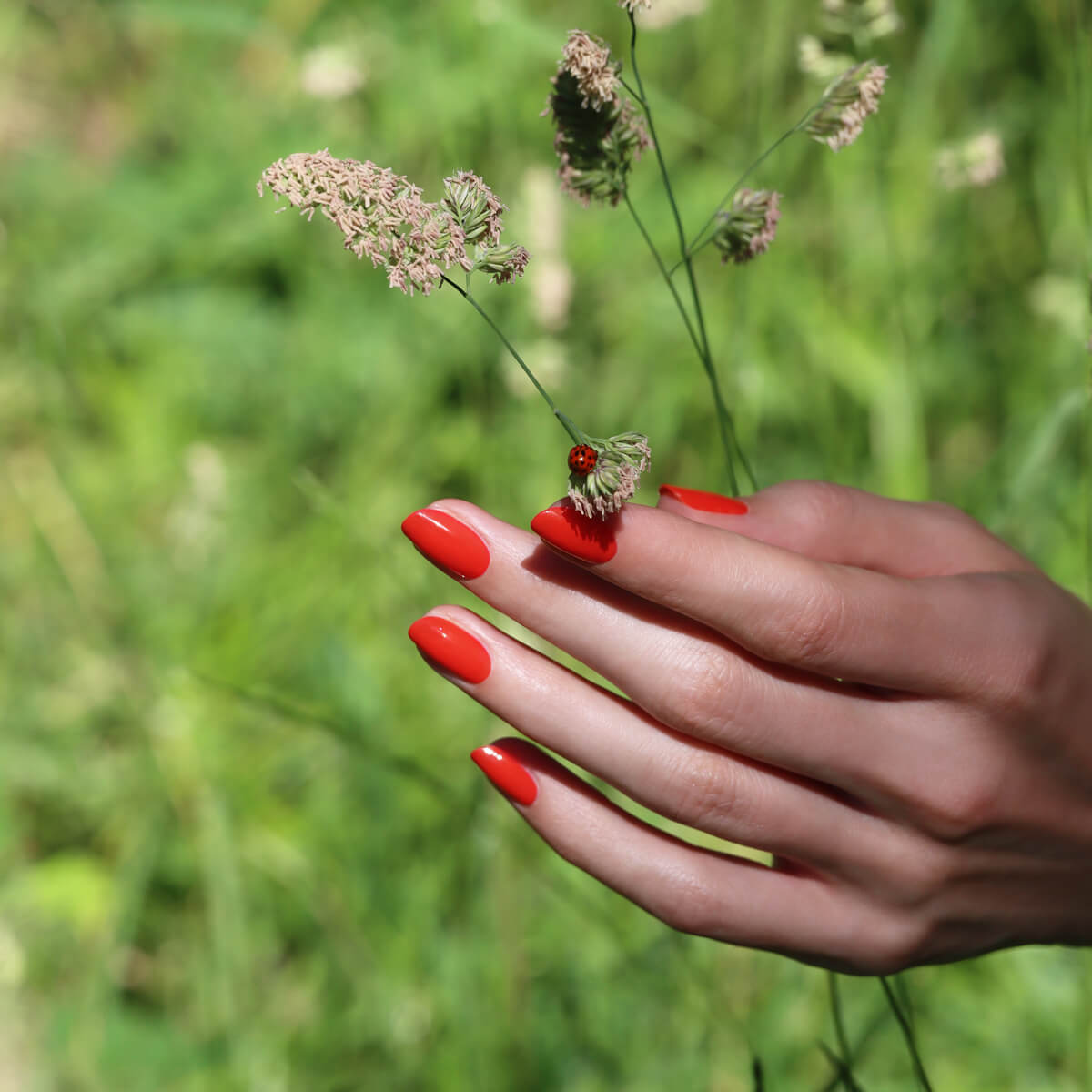 VERNIS À ONGLES GREEN™ - 15 ML Red Coral