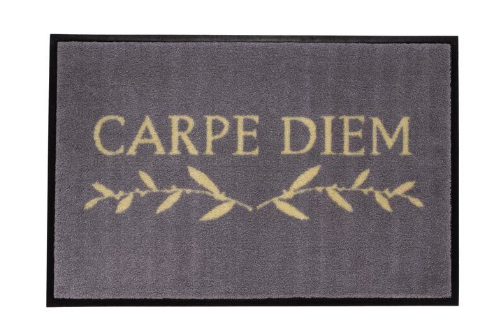 WASHABLES, CARPE DIEM, GRAU