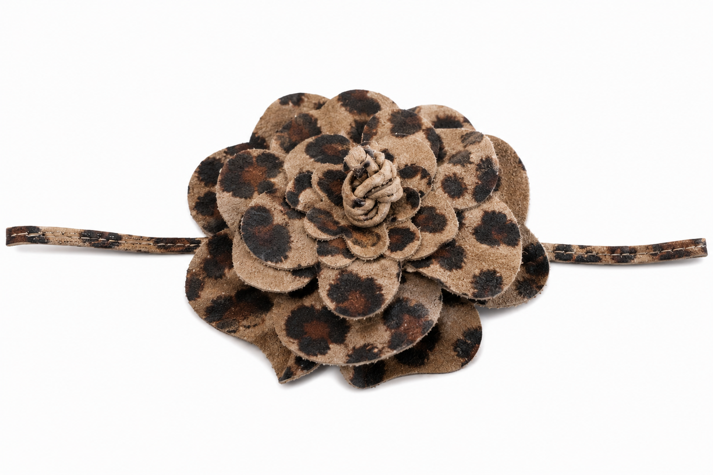 Rosalie Gürtelblüte in Wild Leo