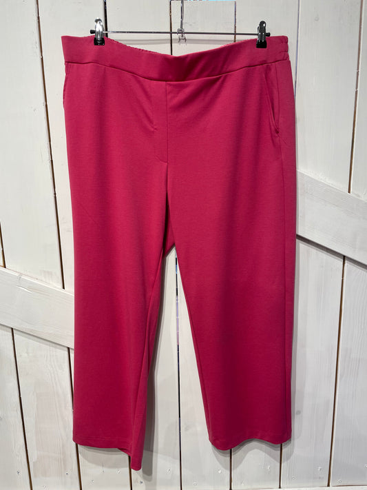 Wasabi CURVY Hose "SINA 3" in PINK