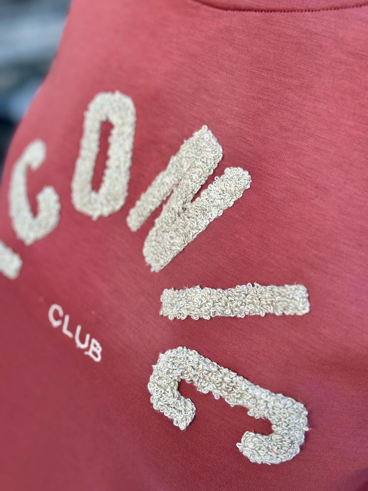 ICONIC CLUB Sweatshirt mit Teddy-Stickerei – Rostrot